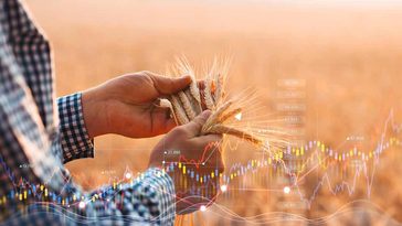Das Bild zeigt, wie ein Mann Getreide auf einem Getreidefeld in der Hand hält und eine steigende Statistik zu den Getreidepreisen.